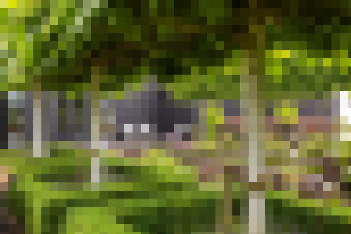 Cromvoirtseweg 5 Helvoirt thumbnail 49