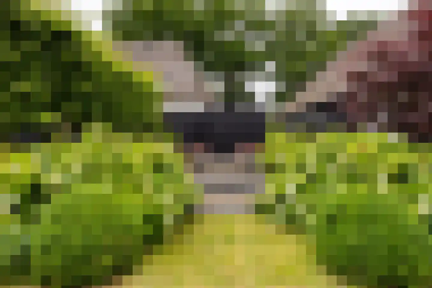 Cromvoirtseweg 5 Helvoirt thumbnail 50