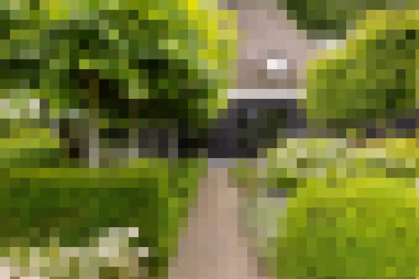 Cromvoirtseweg 5 Helvoirt thumbnail 51