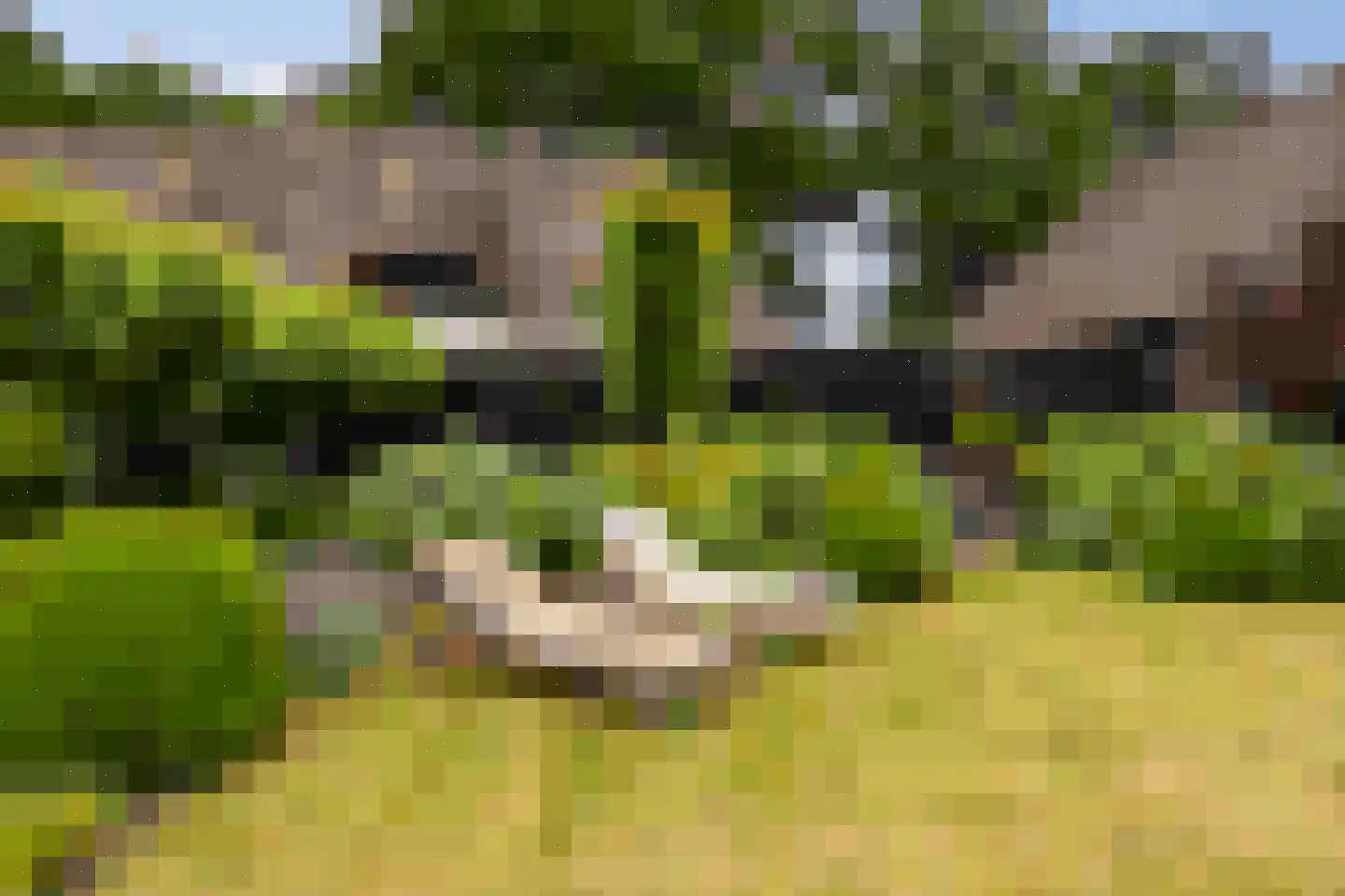 Cromvoirtseweg 5 Helvoirt thumbnail 53