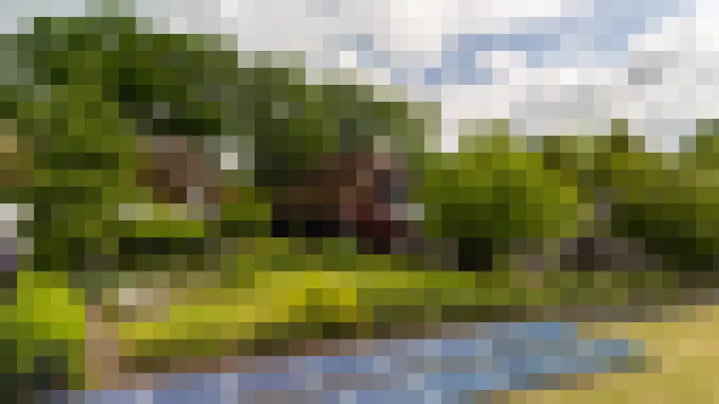 Cromvoirtseweg 5 Helvoirt thumbnail 62