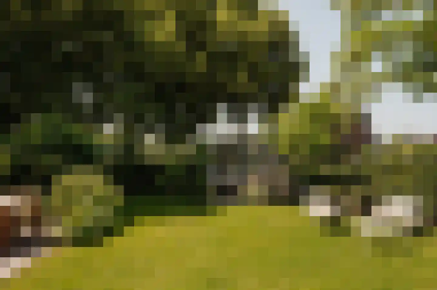 Cronenburgherlaan 8 Loenen aan de Vecht thumbnail 30
