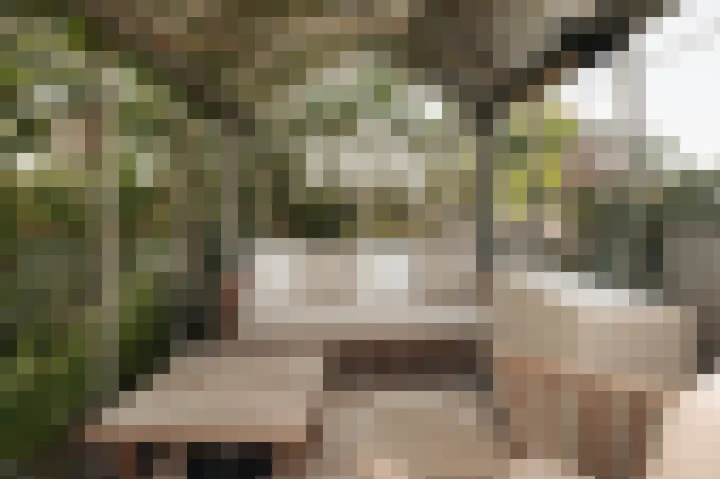 Cronenburgherlaan 8 Loenen aan de Vecht thumbnail 31