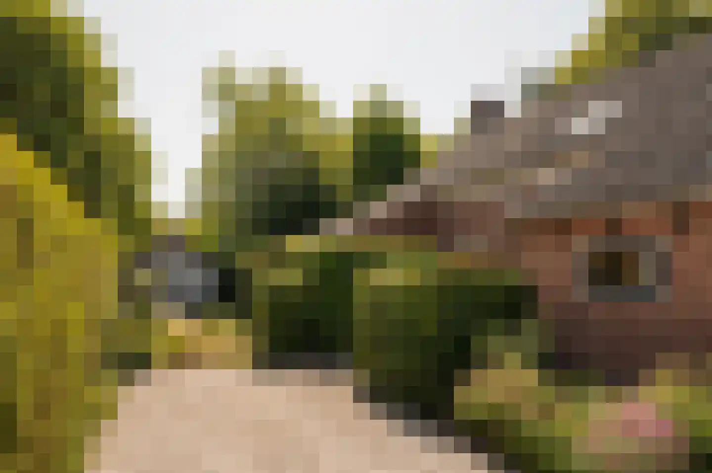 Cronenburgherlaan 8 Loenen aan de Vecht thumbnail 34