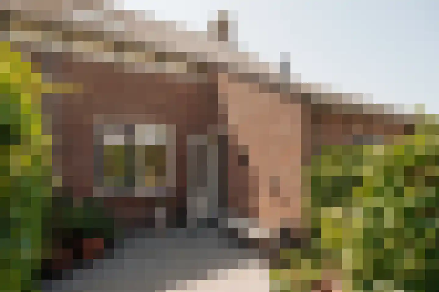 Cronenburgherlaan 8 Loenen aan de Vecht thumbnail 36