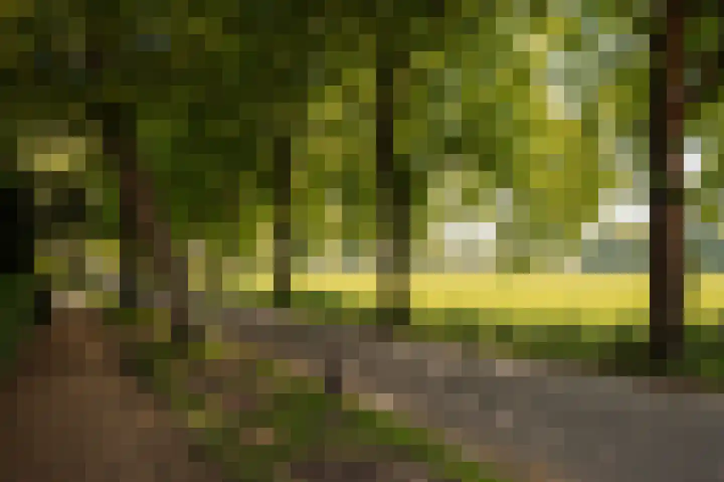 Cronenburgherlaan 8 Loenen aan de Vecht thumbnail 37