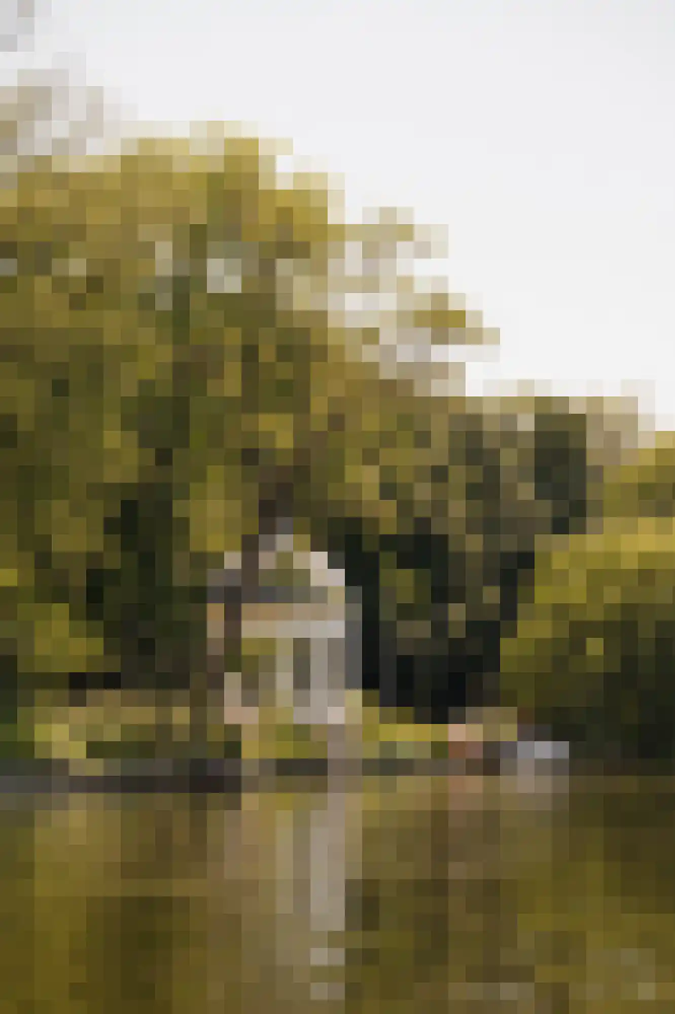 Cronenburgherlaan 8 Loenen aan de Vecht thumbnail 38