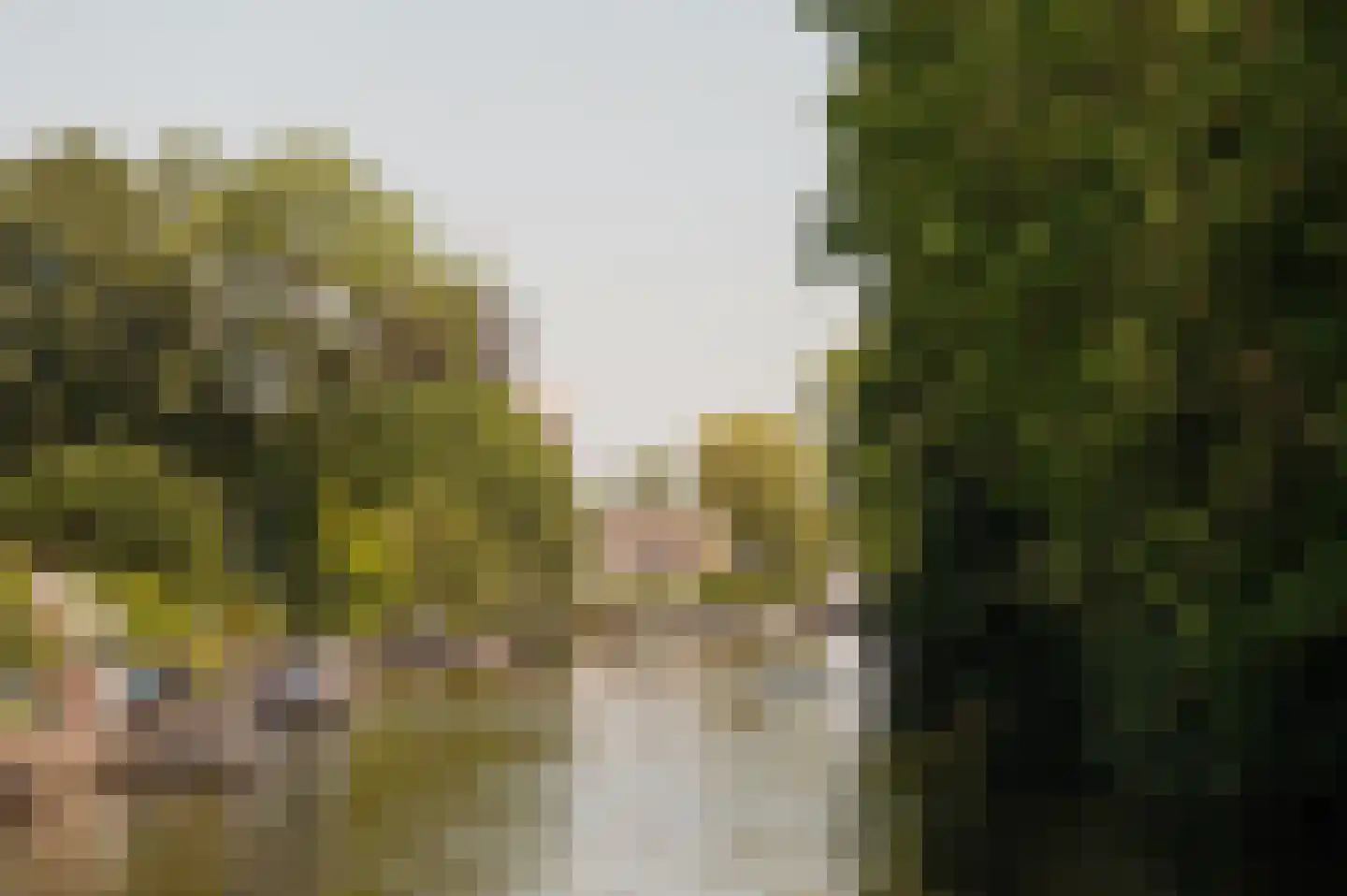 Cronenburgherlaan 8 Loenen aan de Vecht thumbnail 39