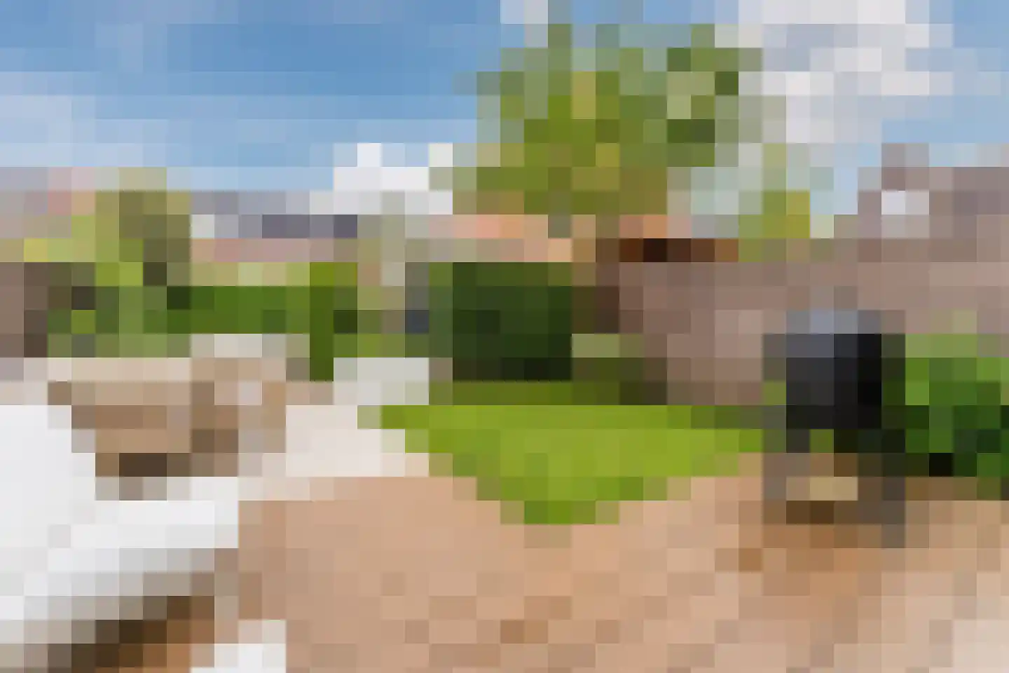 Cronenburghlaan 25 Weesp thumbnail 28