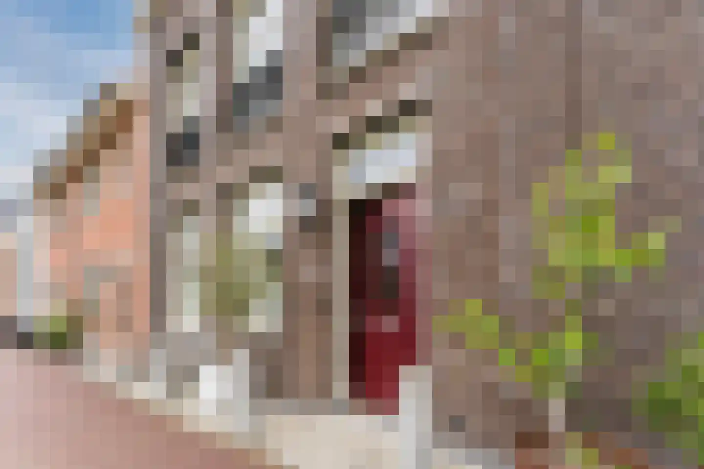 Cronenburghlaan 25 Weesp thumbnail 4