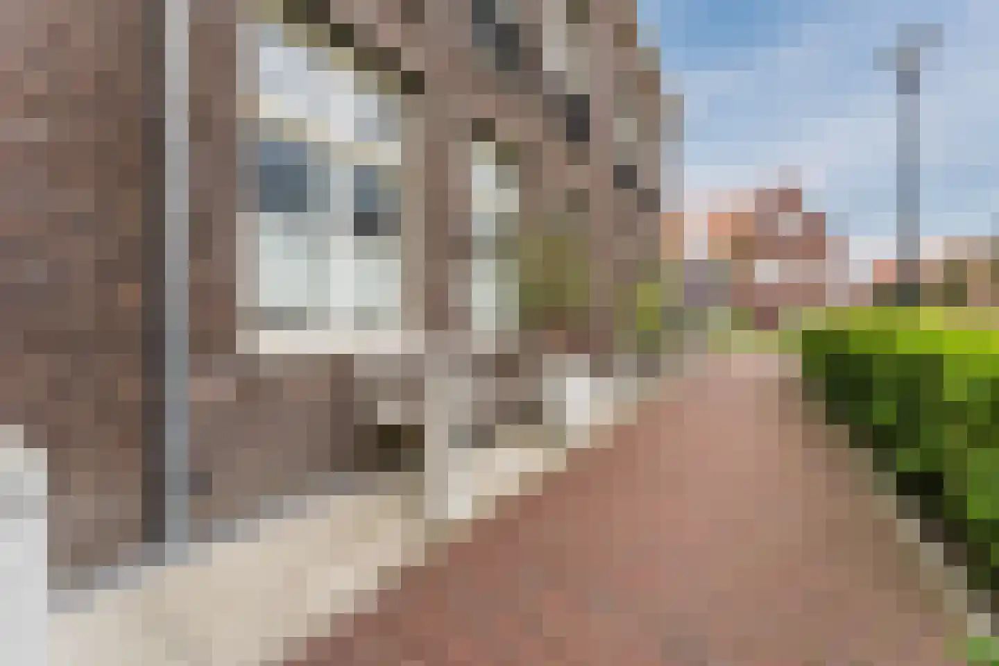 Cronenburghlaan 25 Weesp thumbnail 5