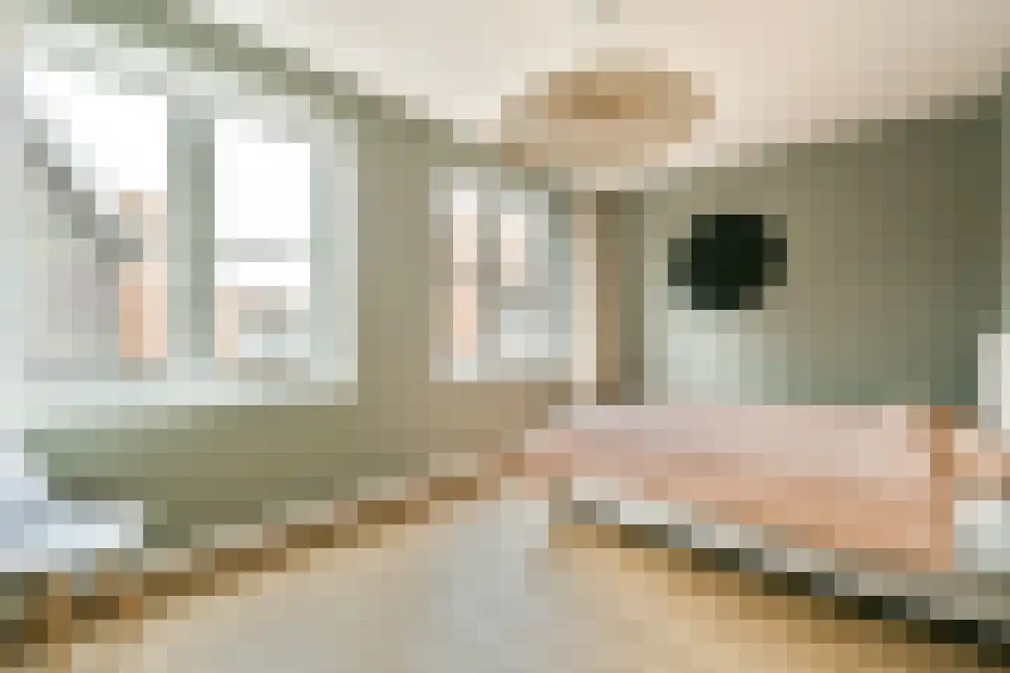 Cronenburghlaan 35 Weesp thumbnail 12