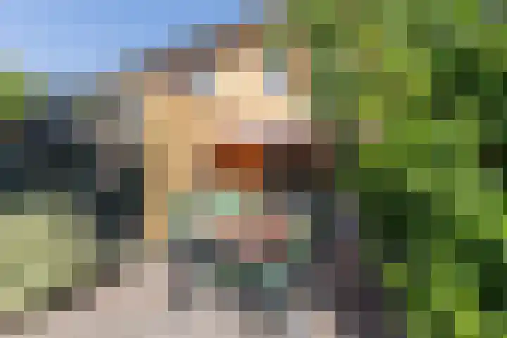 Cronenstein 22 Nieuw-Vennep thumbnail 41