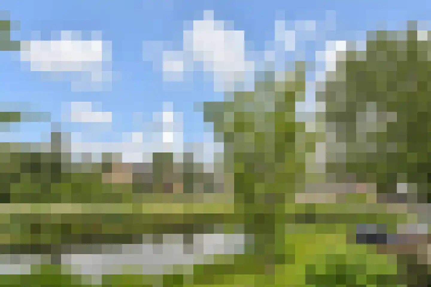 Cronestein 25 Gouda thumbnail 20