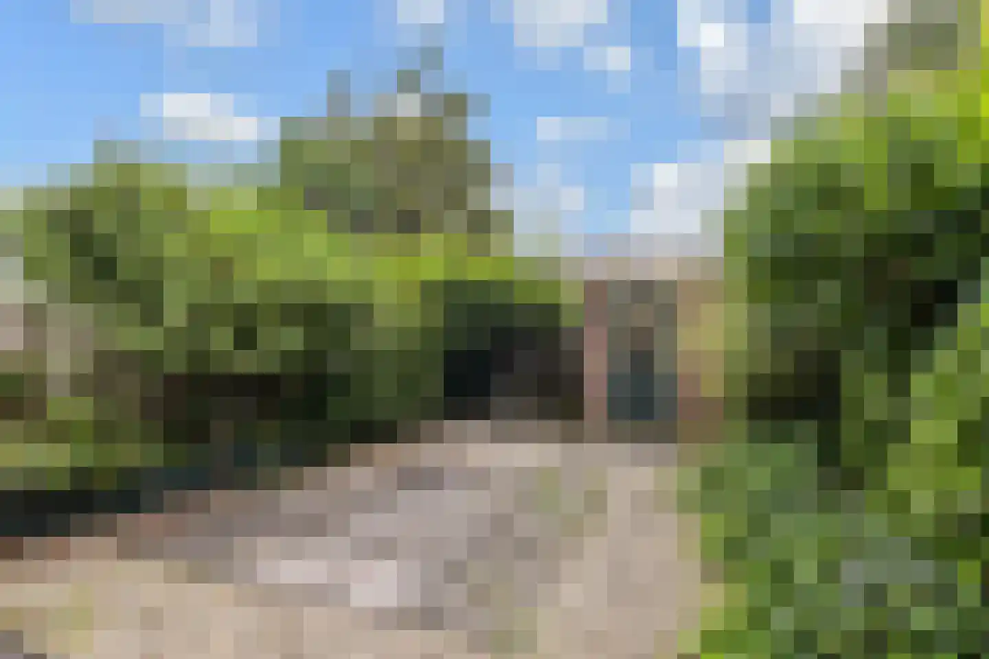 Cronestein 25 Gouda thumbnail 31