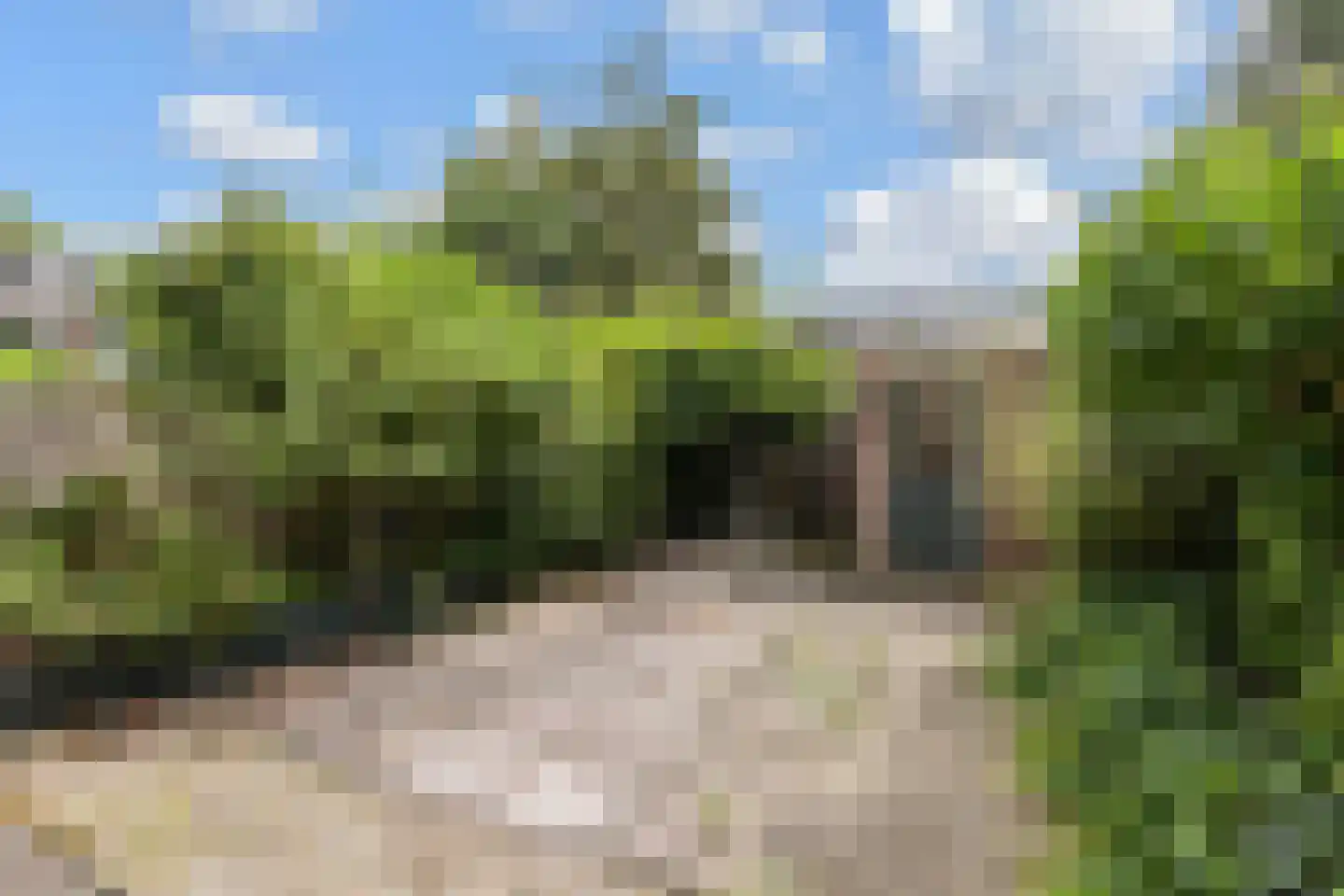 Cronestein 25 Gouda thumbnail 32