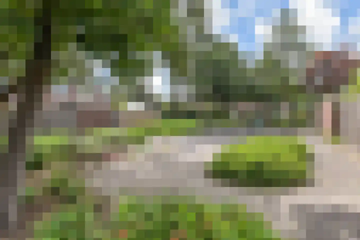 Cronestein 25 Gouda thumbnail 38
