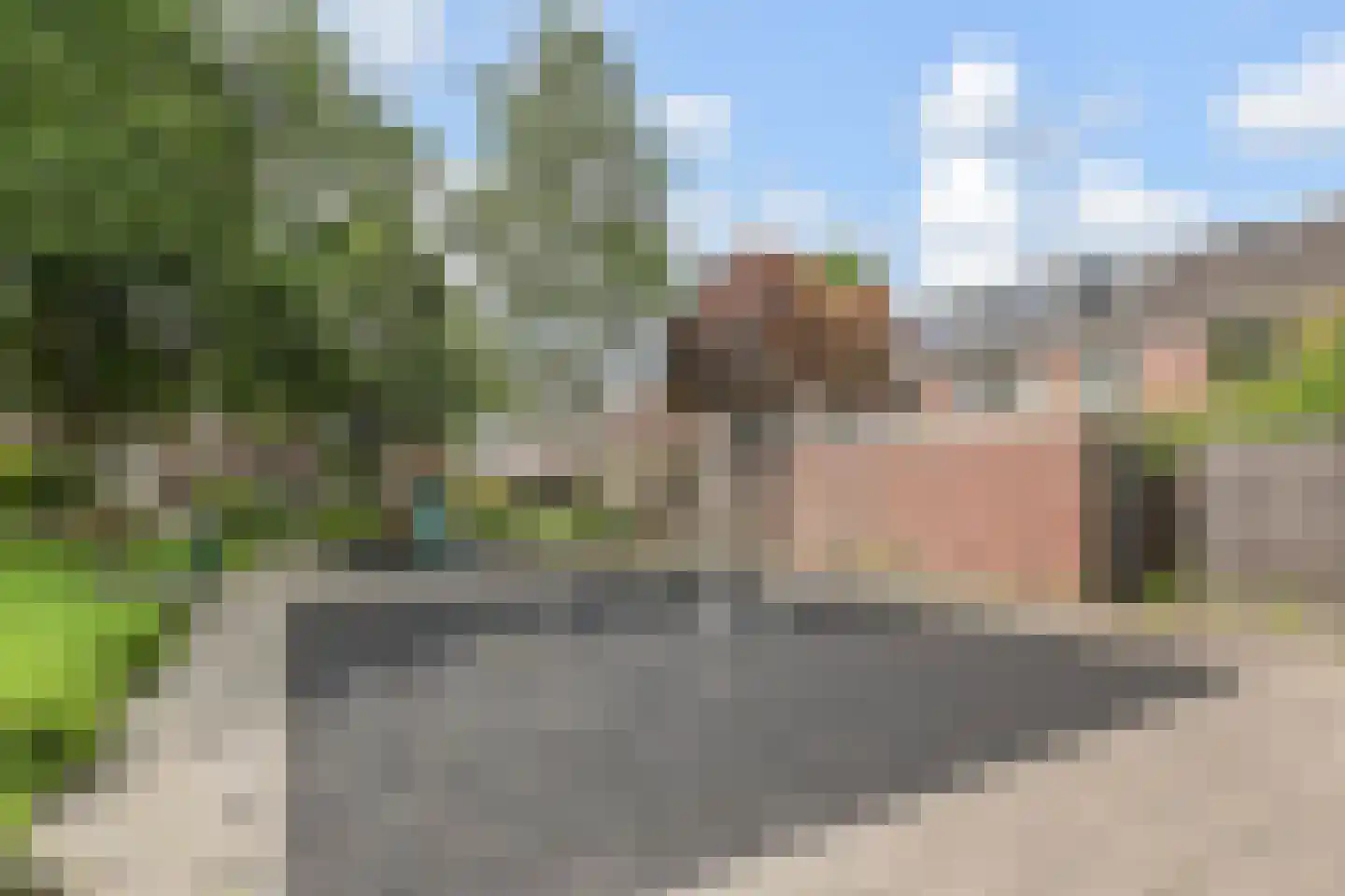 Cronestein 25 Gouda thumbnail 39