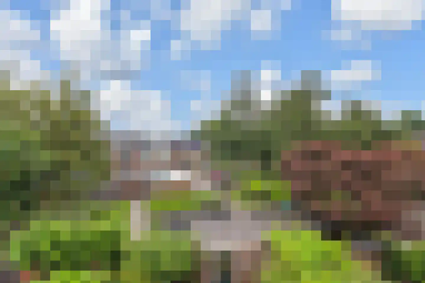 Cronestein 25 Gouda thumbnail 41