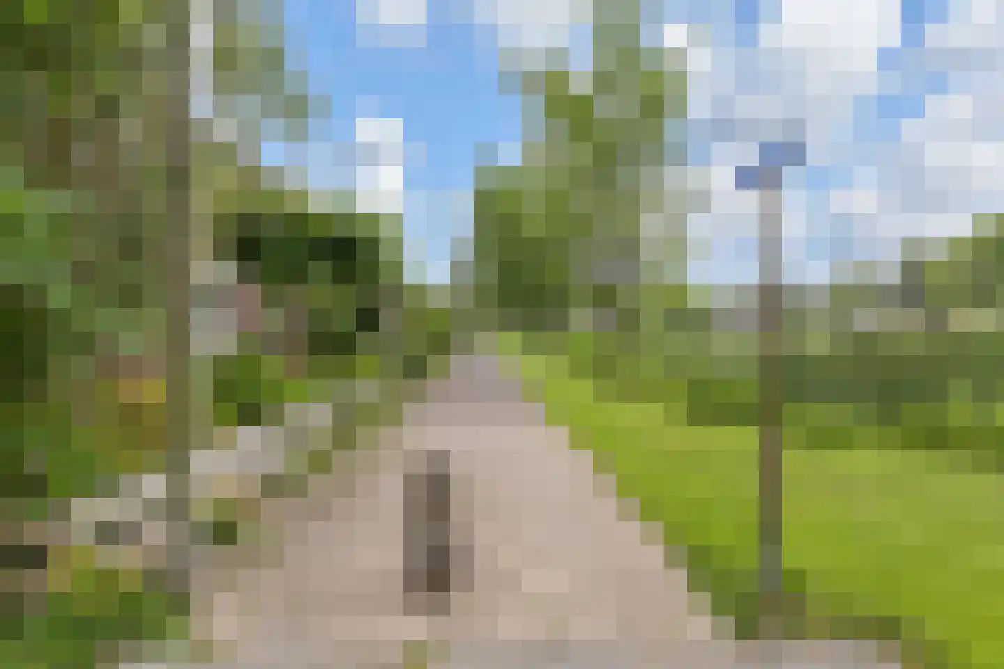 Cronestein 25 Gouda thumbnail 5