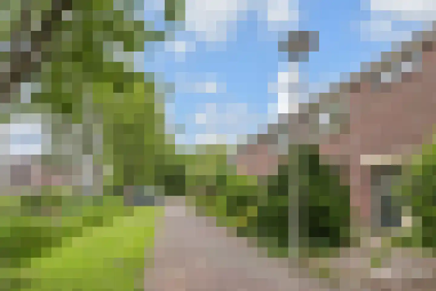 Cronestein 25 Gouda thumbnail 7