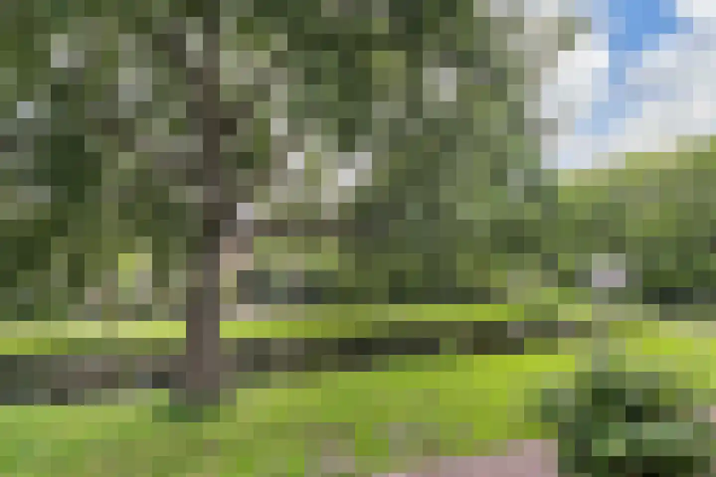 Cronestein 73 Gouda thumbnail 21