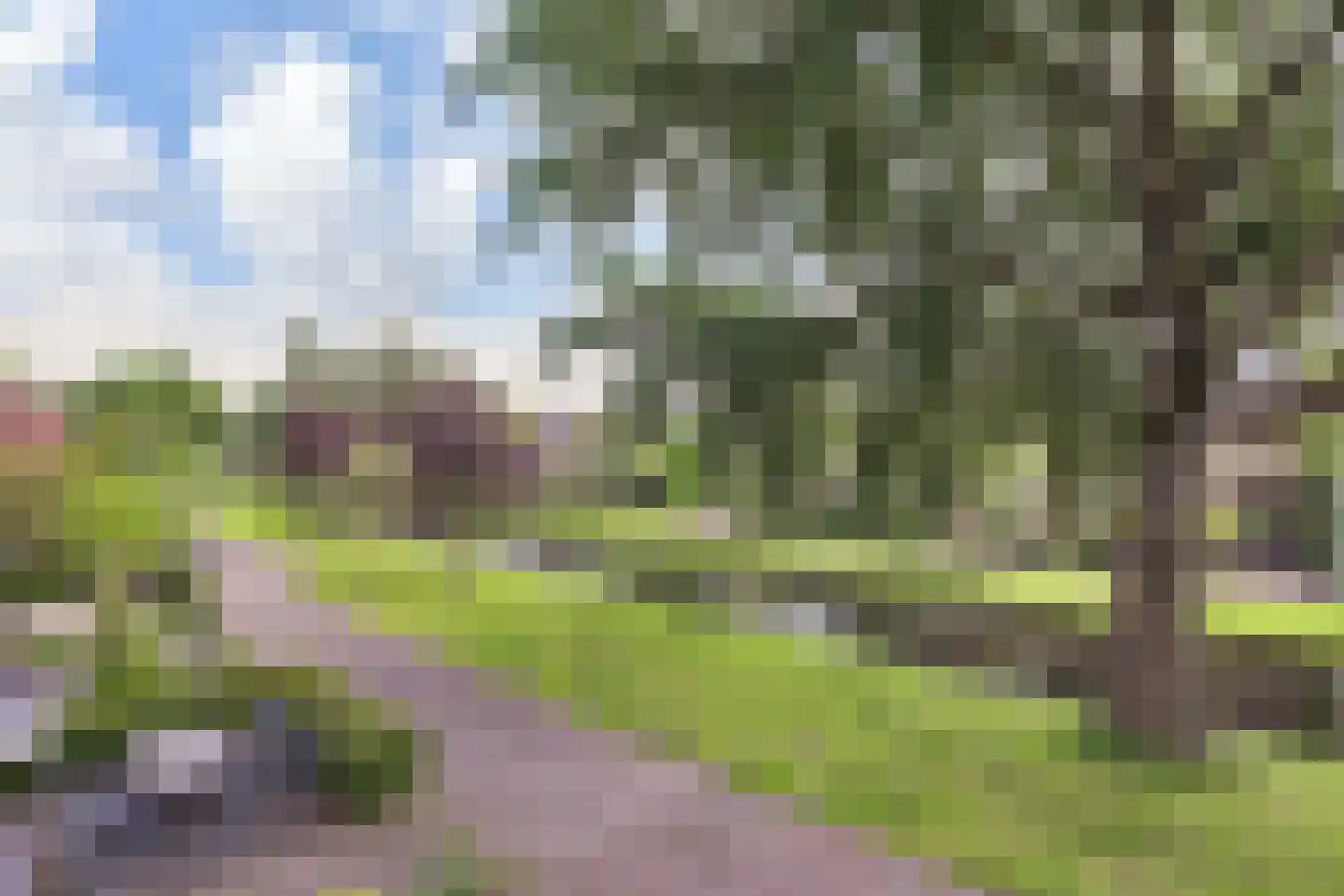 Cronestein 73 Gouda thumbnail 22