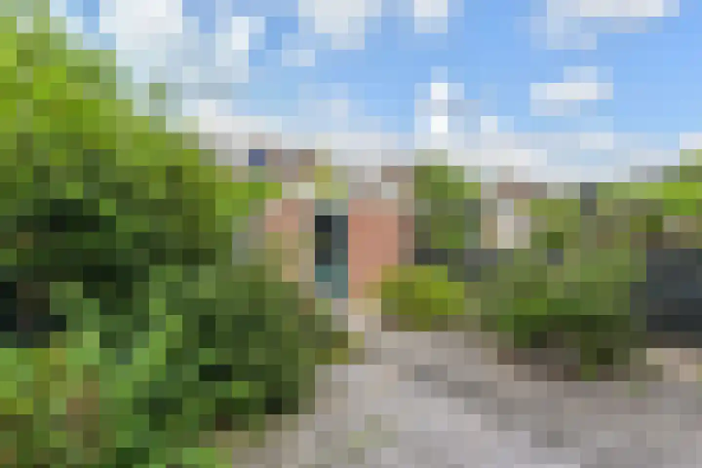 Cronestein 73 Gouda thumbnail 31