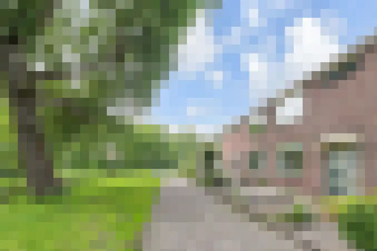 Cronestein 73 Gouda thumbnail 5