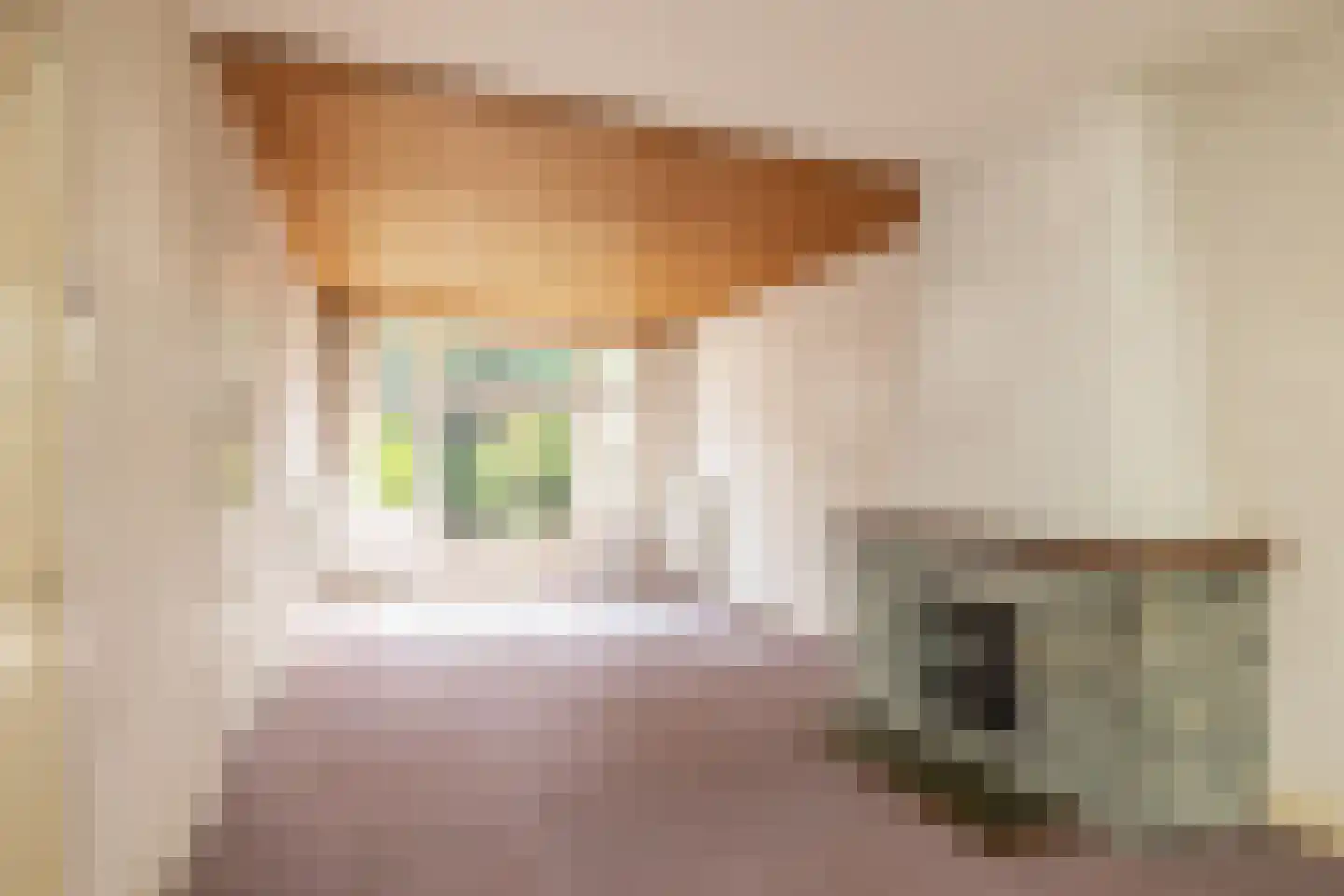 Cronesteinkade 26 Leiden thumbnail 12