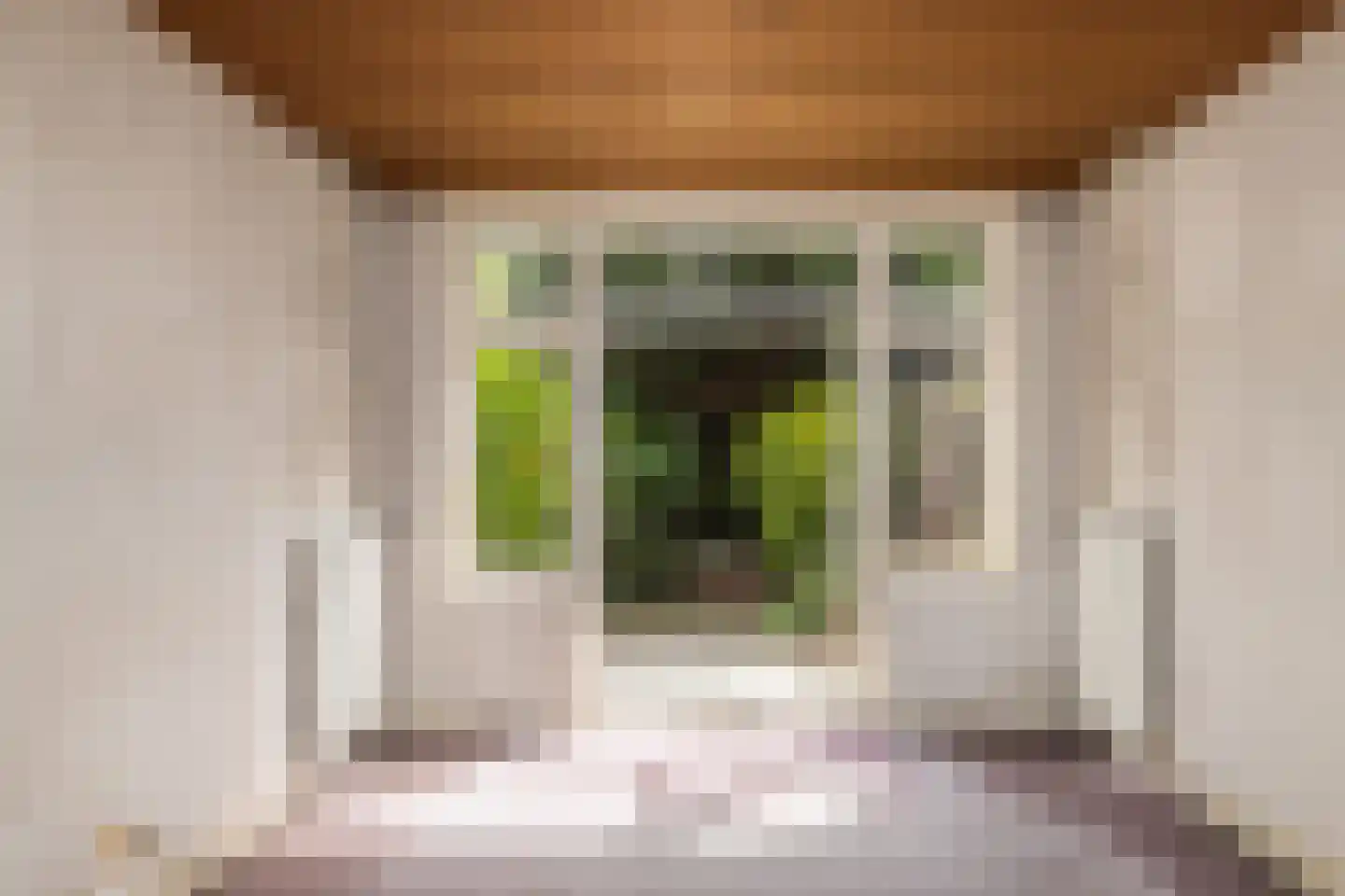Cronesteinkade 26 Leiden thumbnail 13