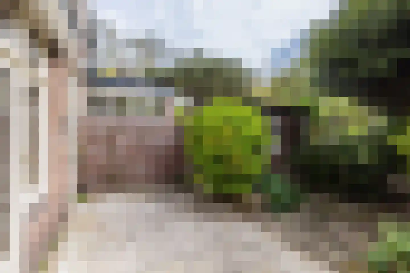 Cronesteinkade 26 Leiden thumbnail 14