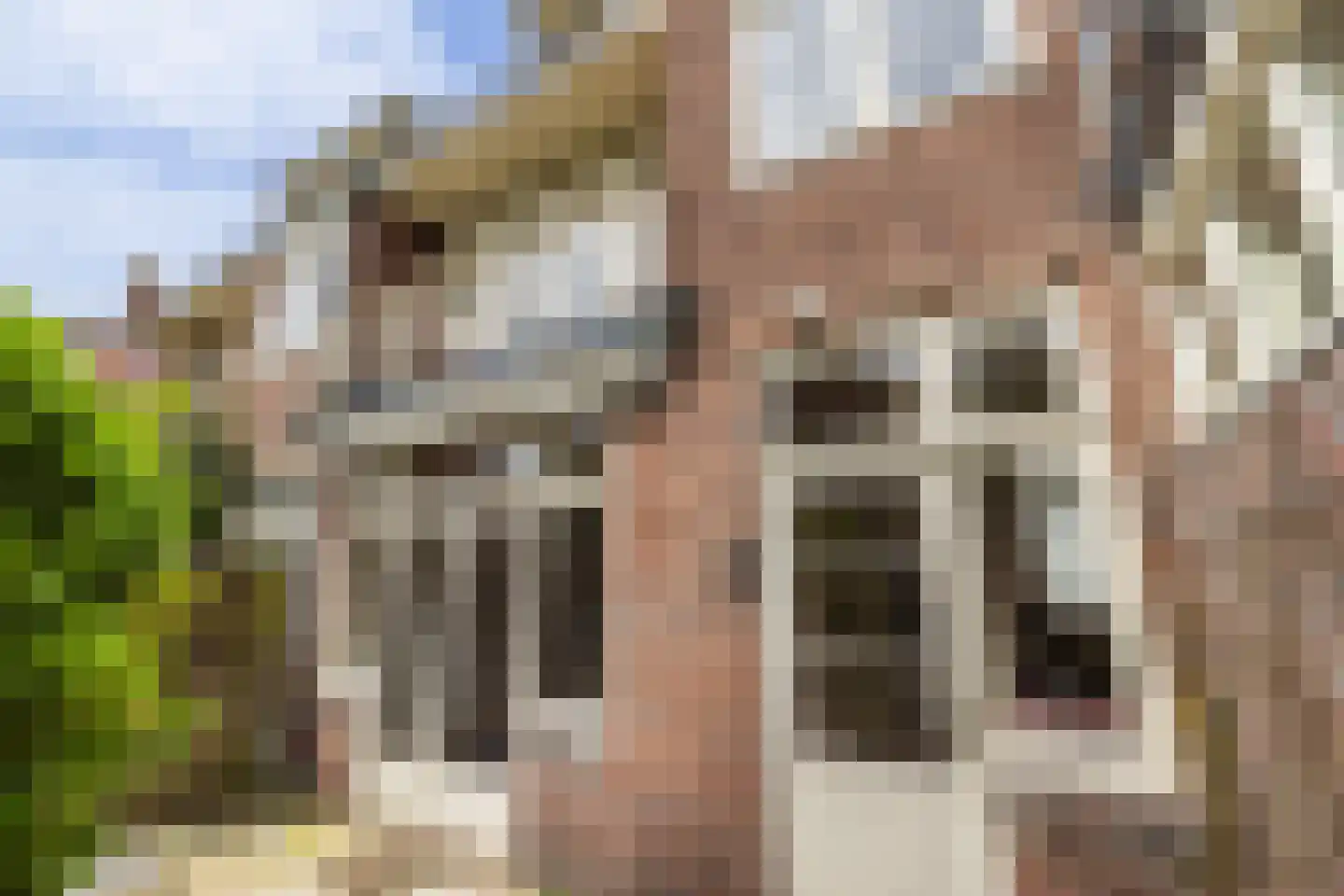 Cronesteinkade 26 Leiden thumbnail 15