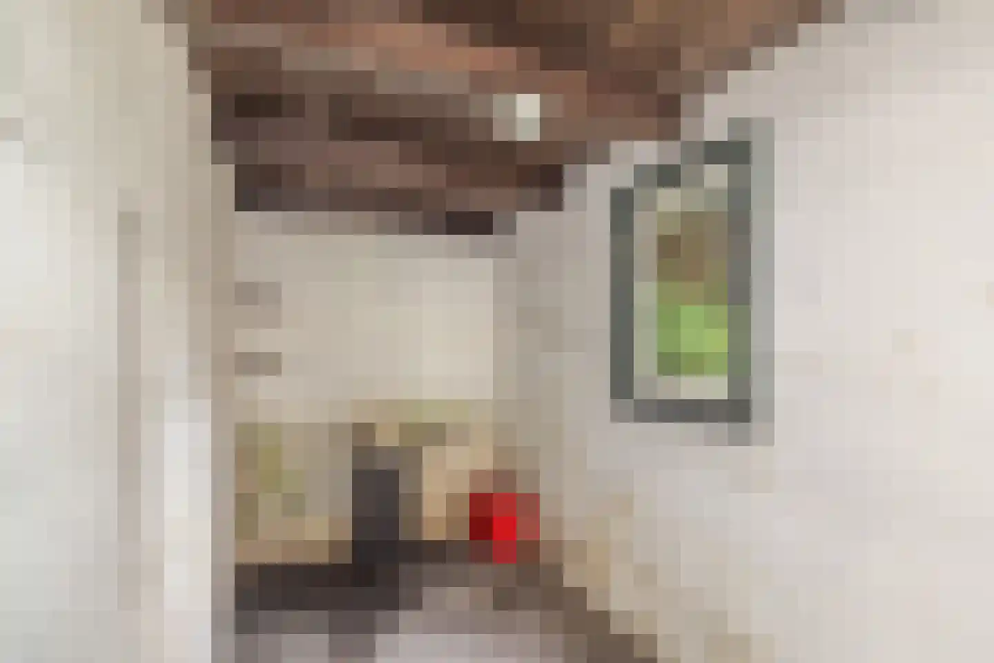 Cronesteinkade 26 Leiden thumbnail 17