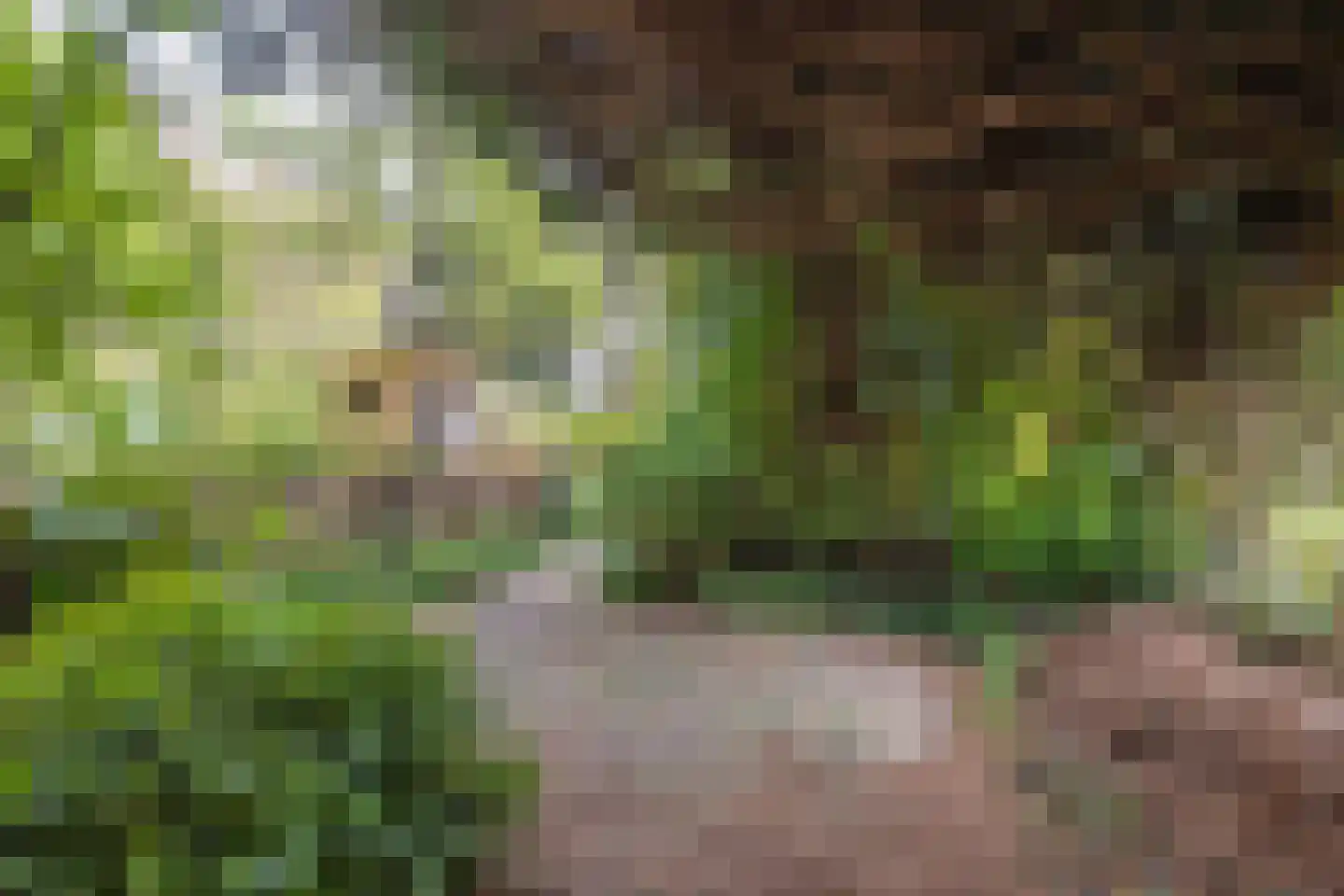 Cronesteinkade 26 Leiden thumbnail 18