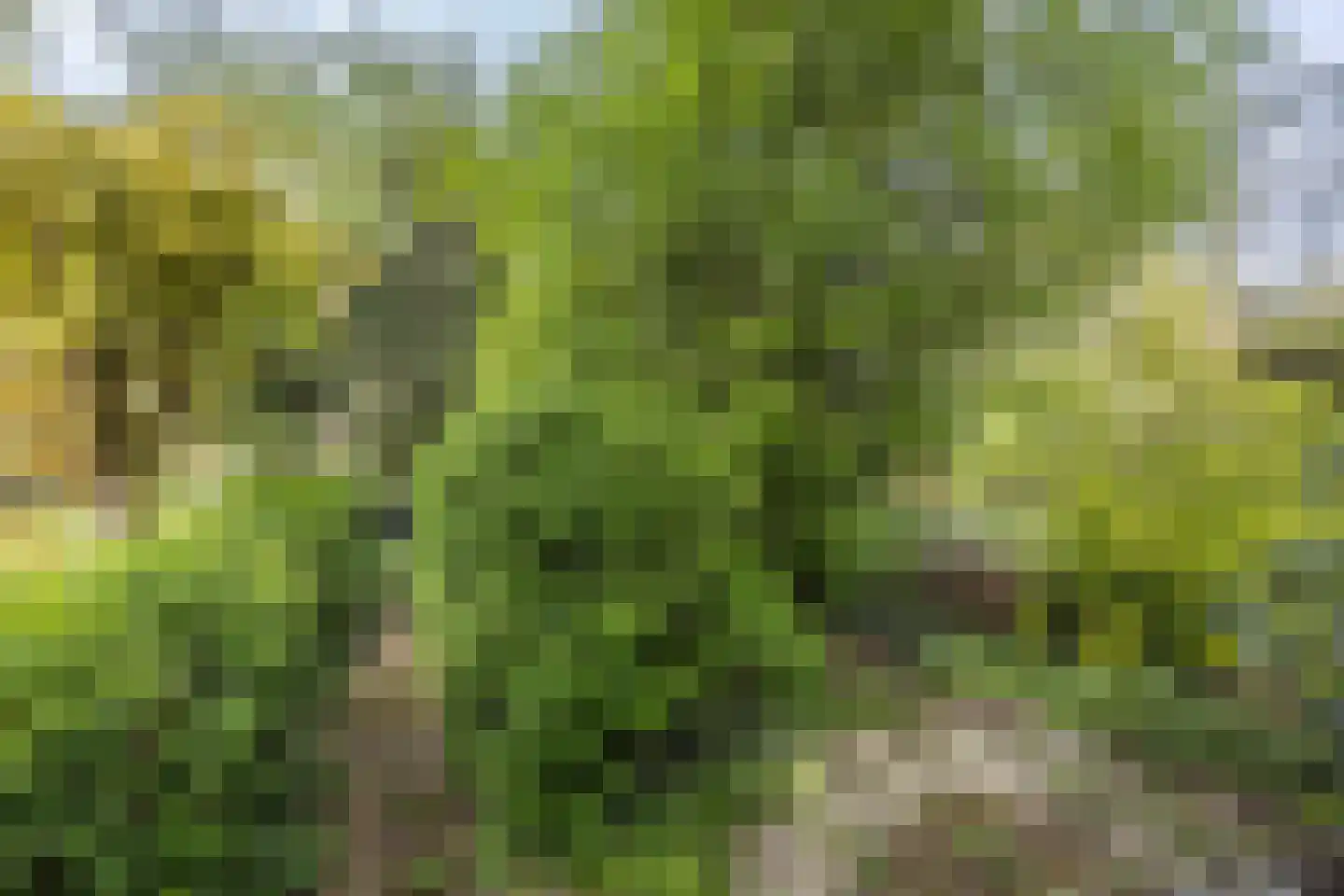 Cronesteinkade 26 Leiden thumbnail 19