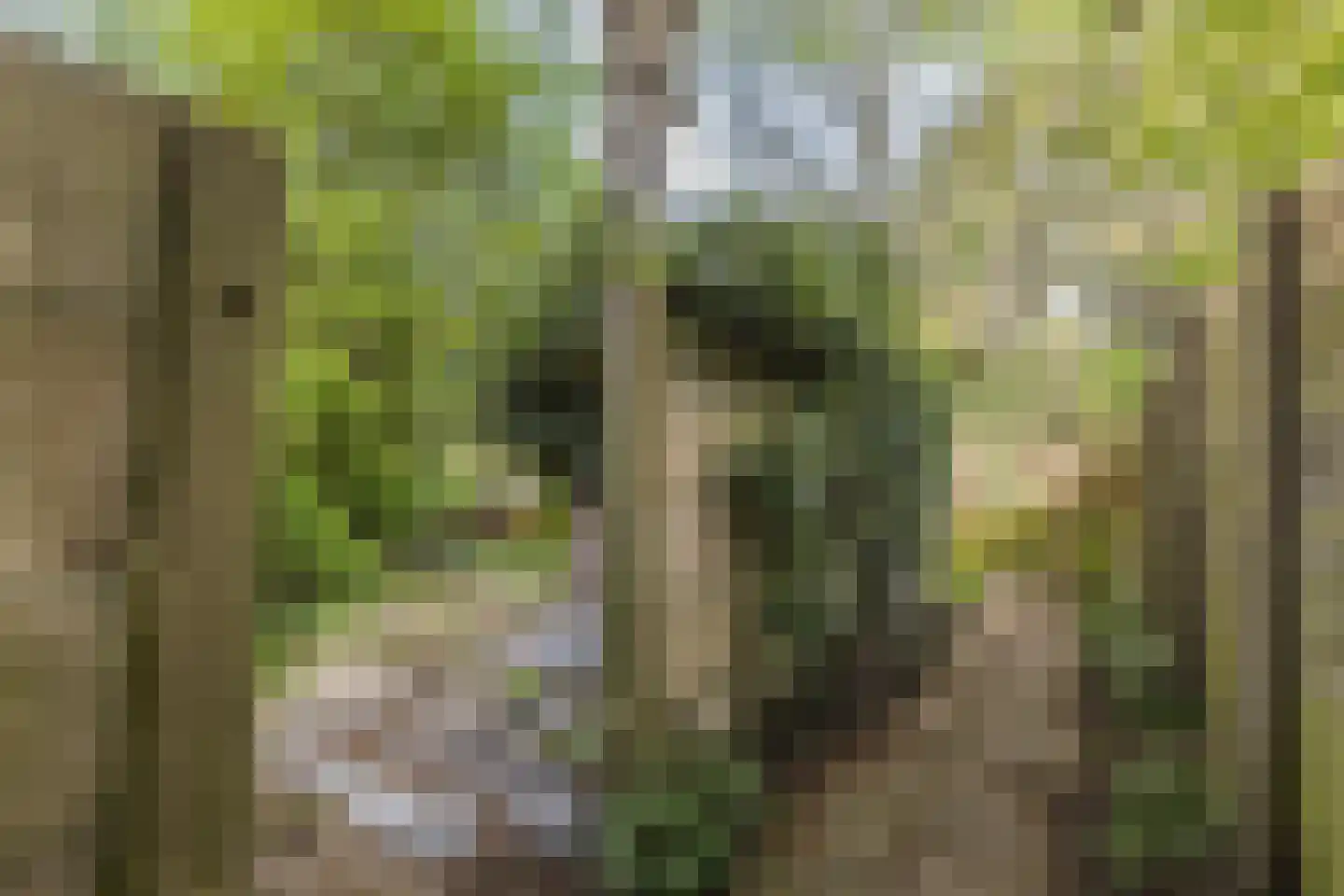 Cronesteinkade 26 Leiden thumbnail 20