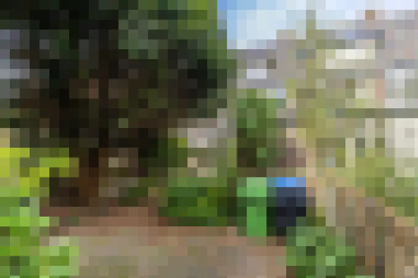 Cronesteinkade 26 Leiden thumbnail 22
