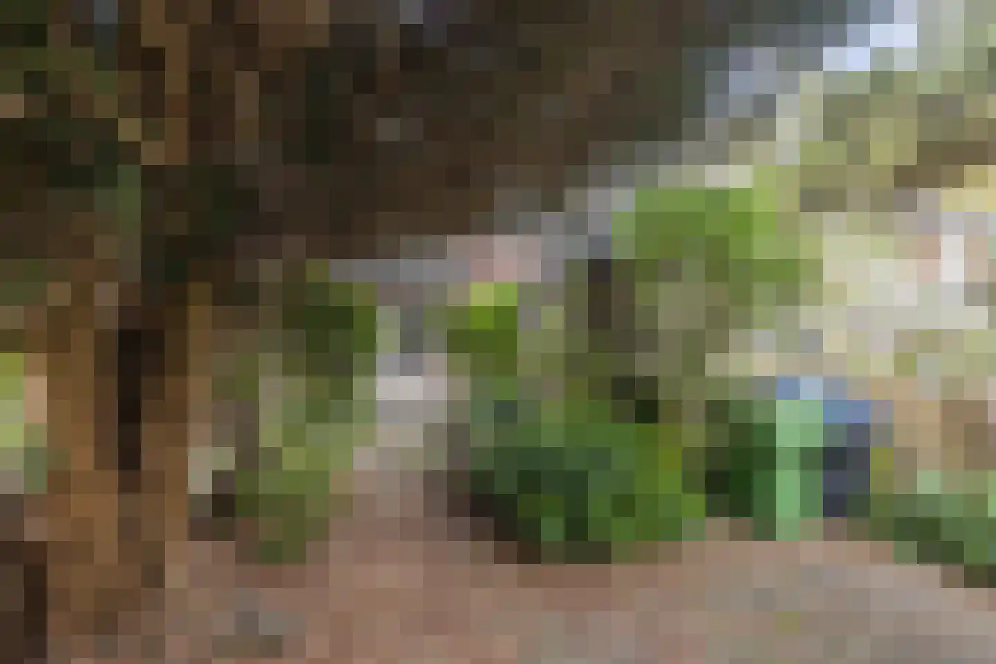 Cronesteinkade 26 Leiden thumbnail 23
