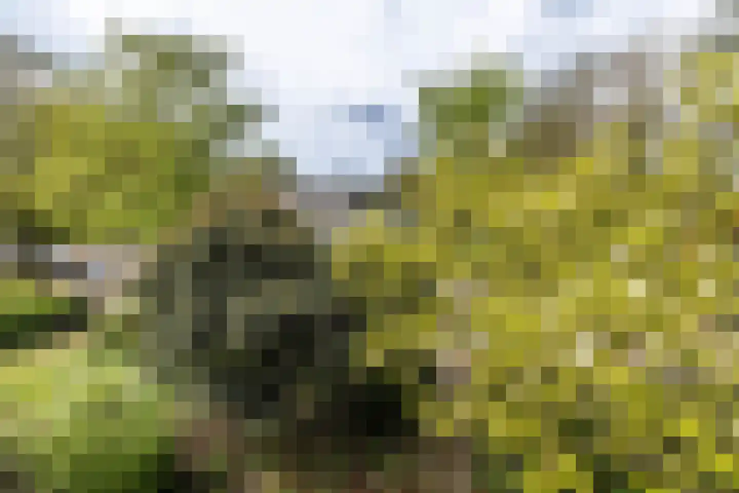 Cronesteinkade 26 Leiden thumbnail 32