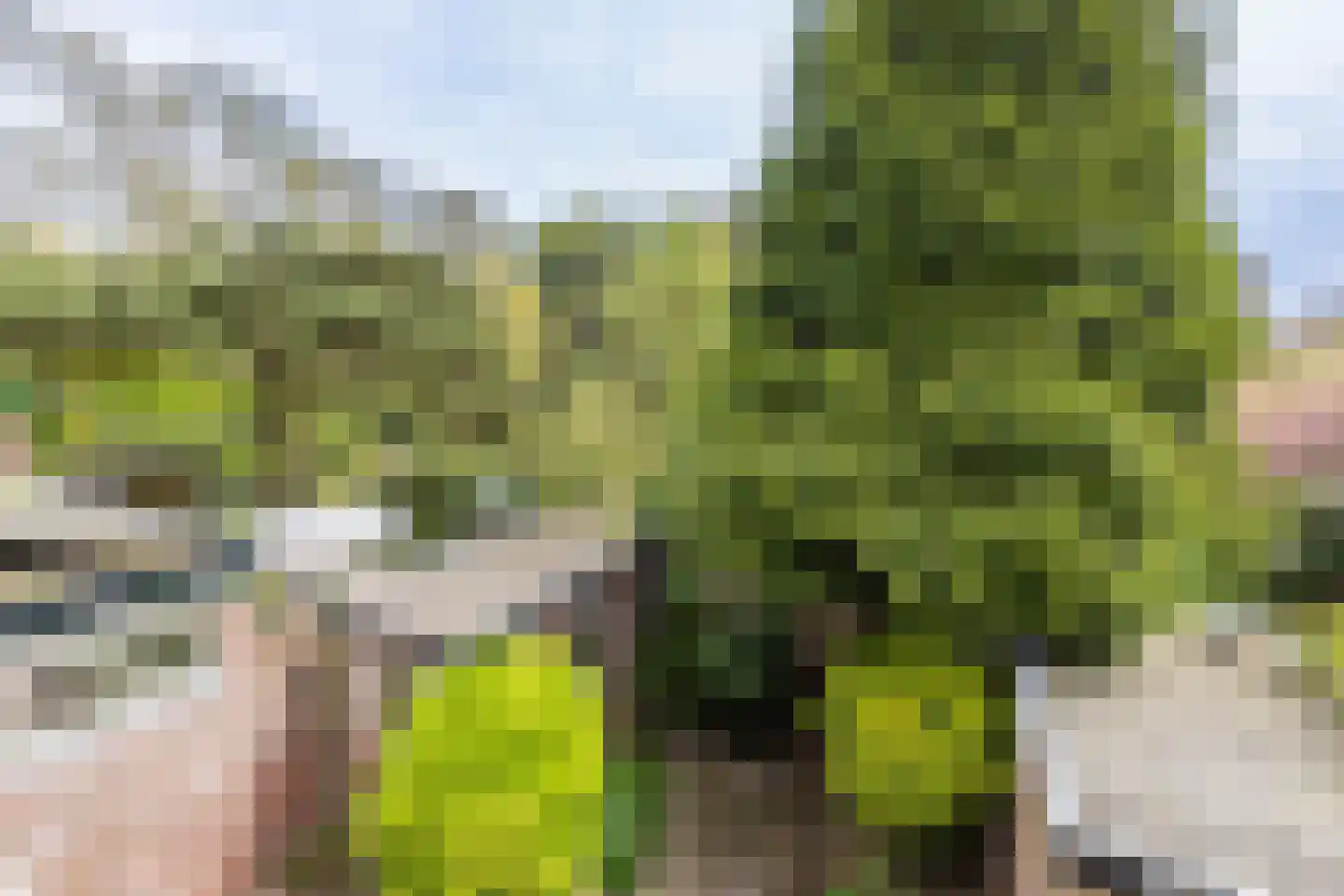 Cronesteinkade 26 Leiden thumbnail 38