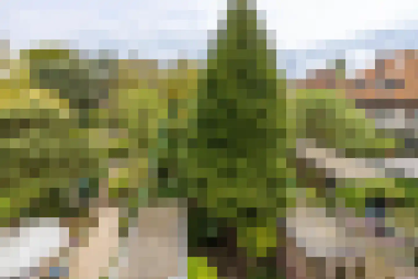 Cronesteinkade 26 Leiden thumbnail 48