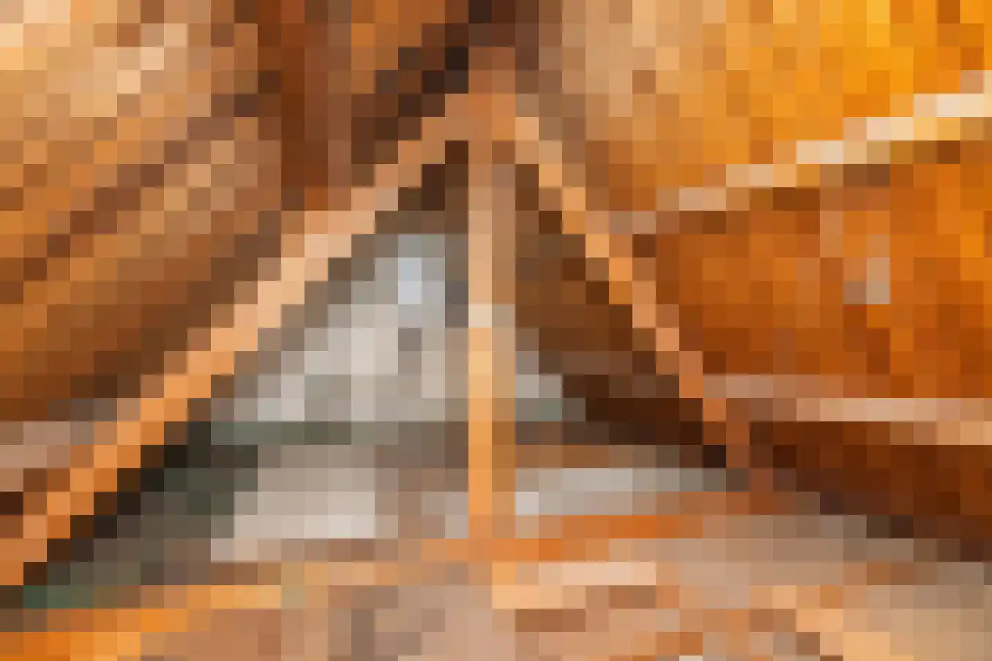 Cronesteinkade 26 Leiden thumbnail 51
