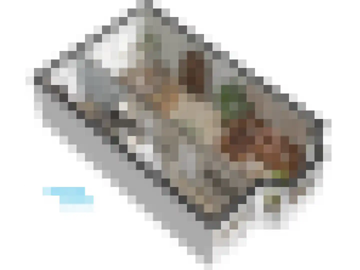 Cronesteinkade 26 Leiden thumbnail 69