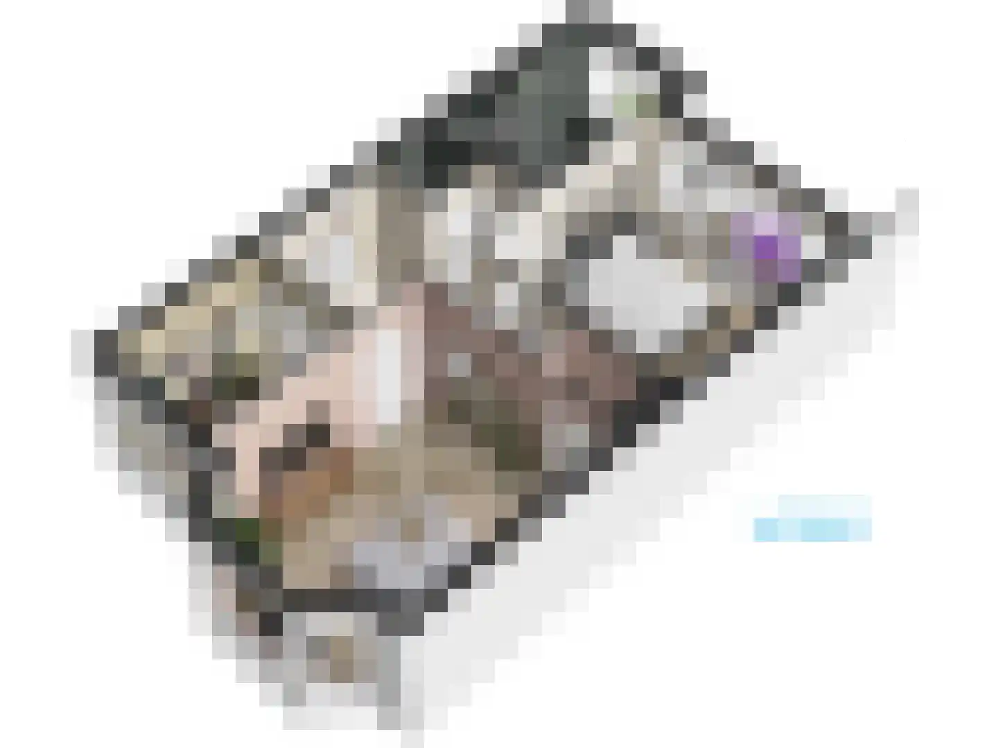 Cronesteinkade 26 Leiden thumbnail 72
