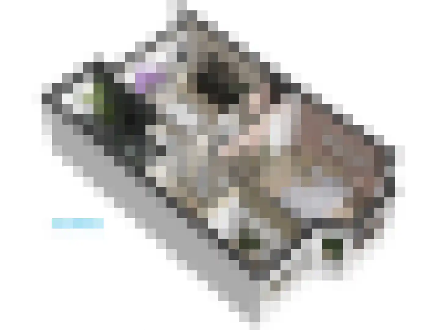 Cronesteinkade 26 Leiden thumbnail 73