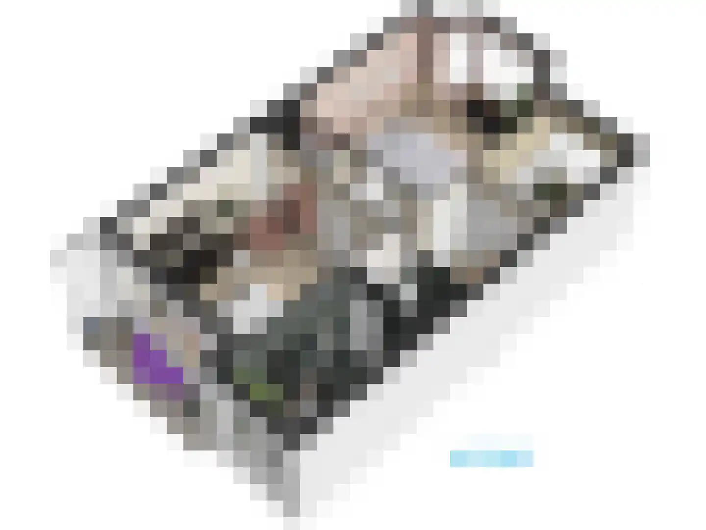 Cronesteinkade 26 Leiden thumbnail 74