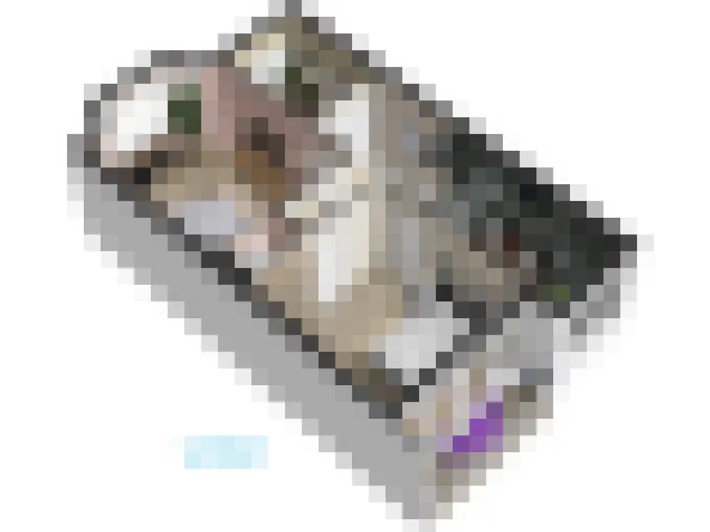 Cronesteinkade 26 Leiden thumbnail 75