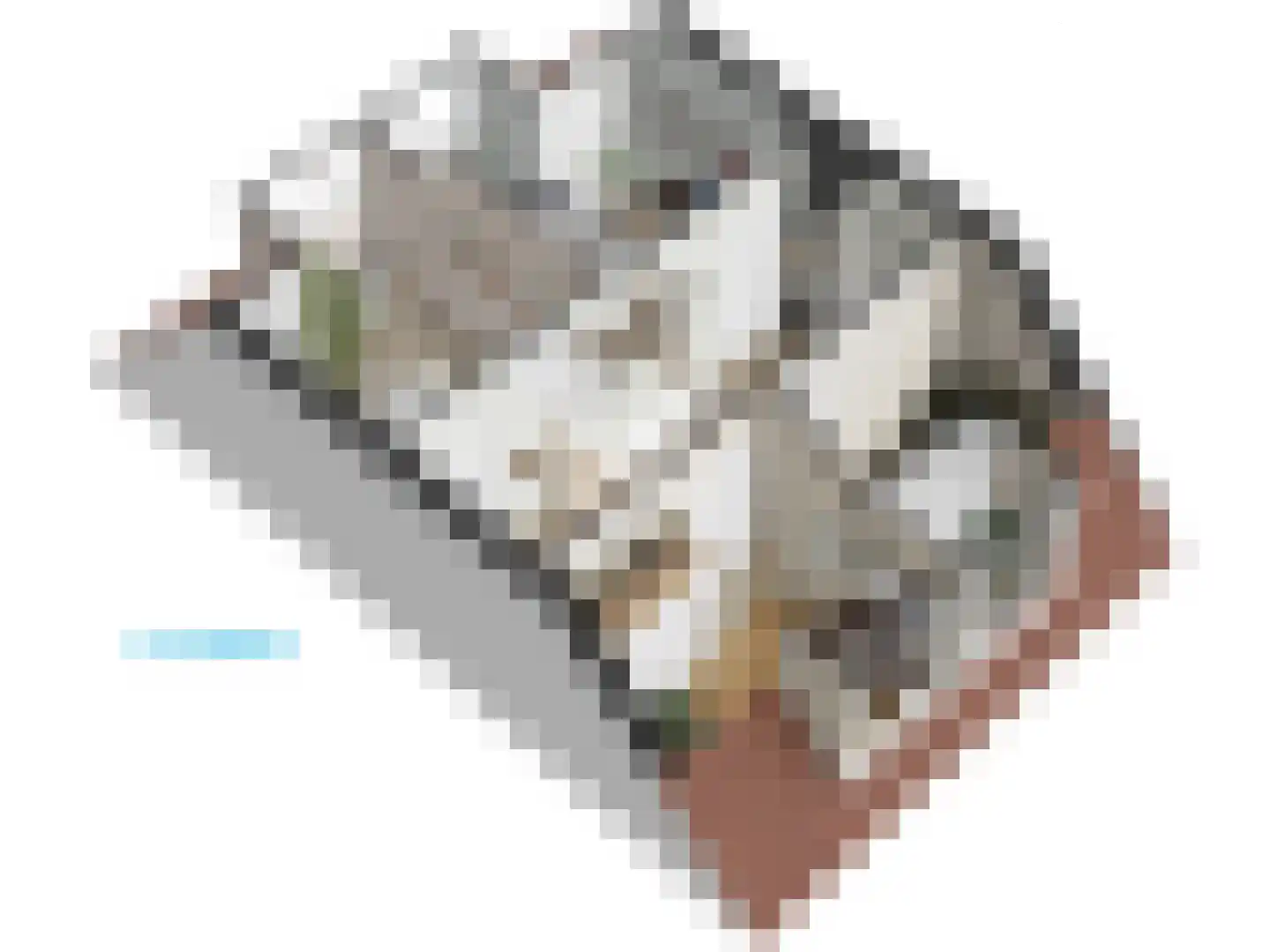 Cronesteinkade 26 Leiden thumbnail 77