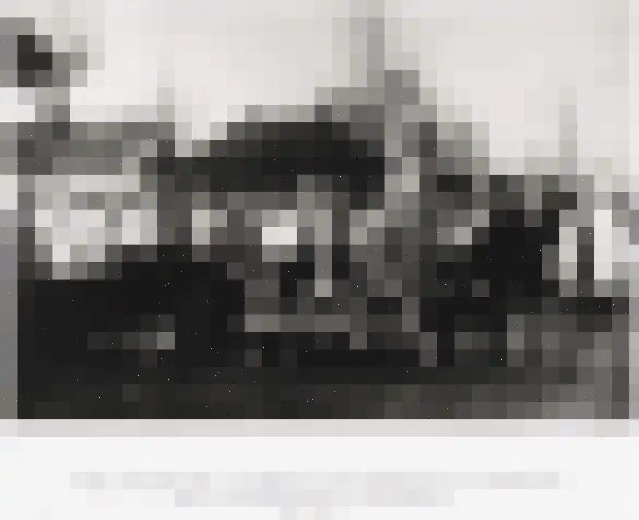 Cronesteinkade 26 Leiden thumbnail 82